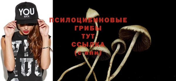 стафф Баксан