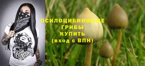 стафф Баксан